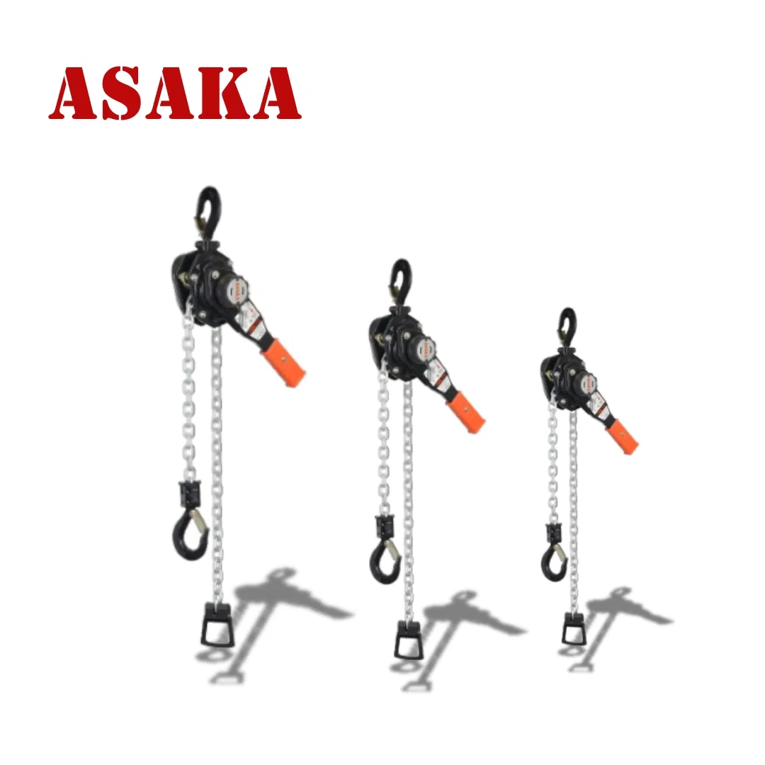 CE Certification Lifting Equipment 0.8 Tons Manual Ratchet Lever Chain Hoist