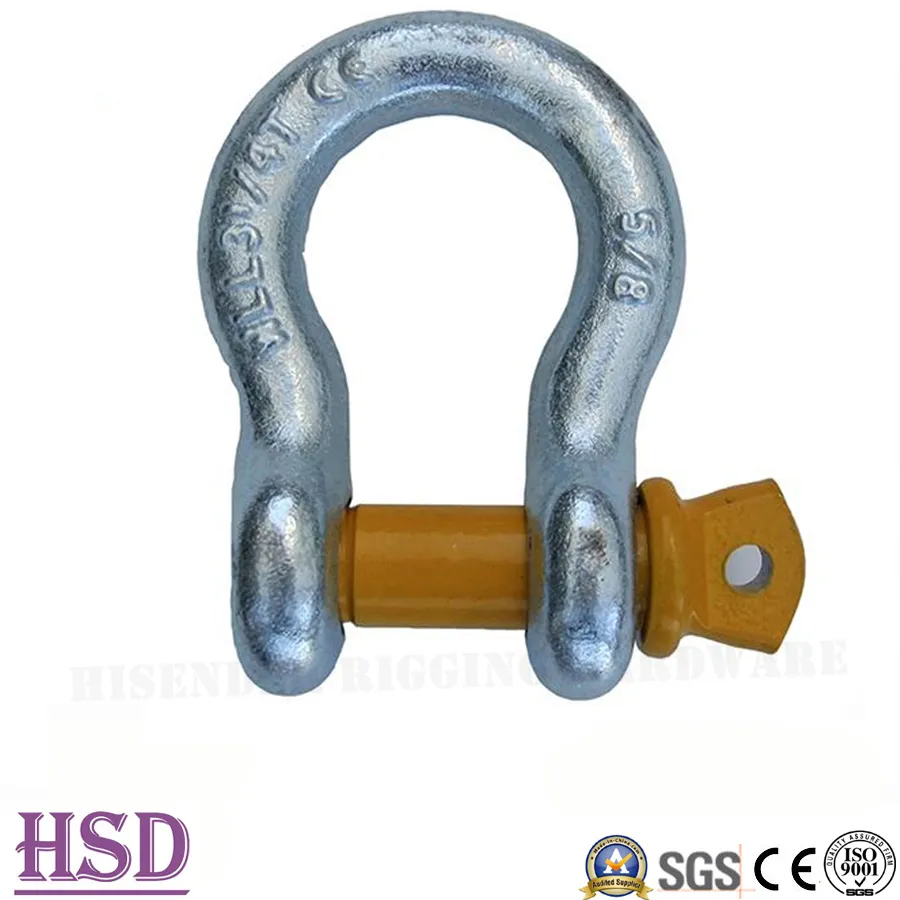 G209 Shackle Display