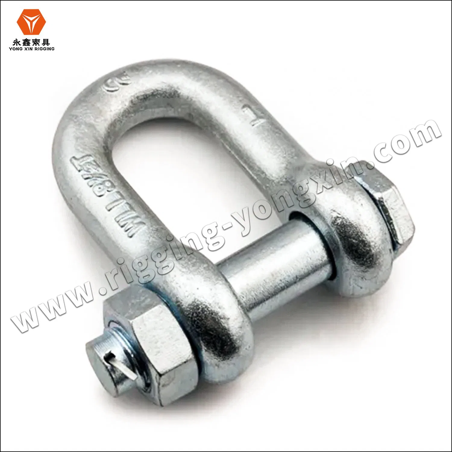 Shackle Bolt AISI 316 Stainless Steel Us Type Chain D Shackle with Safety Bolt Pin