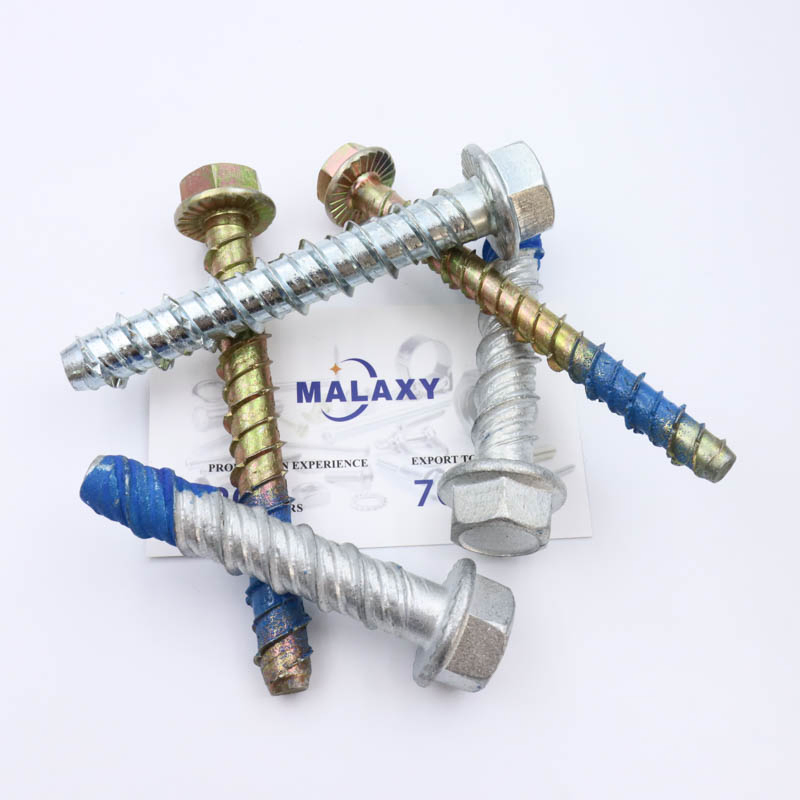 Malaxy Customized Fasteners Bolts and Nuts Hex Socket Bolt Carriage Bolt T Bolt Flange Bolt Eye Bolt Square Bolt U Bolt Anchor Bolt Stud Bolt Plow Bolt Structur
