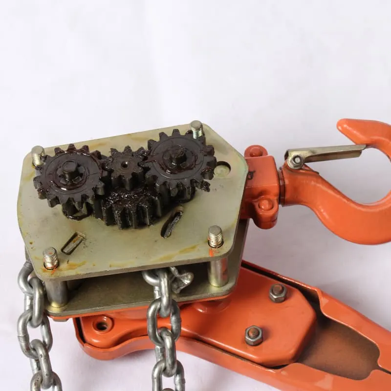 Manual Lever Hoist 6