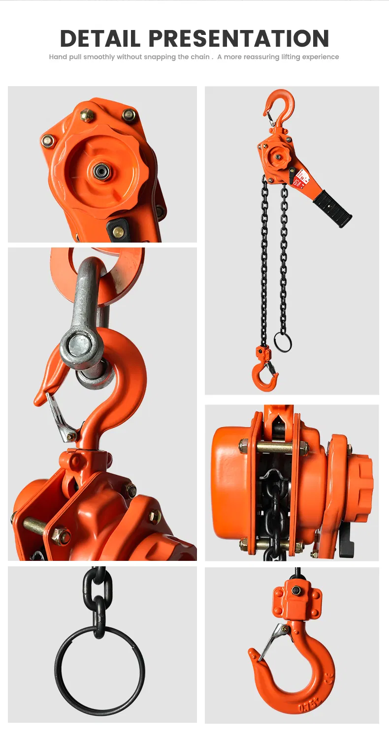 VAJ Type Lever Hoist Detail 5