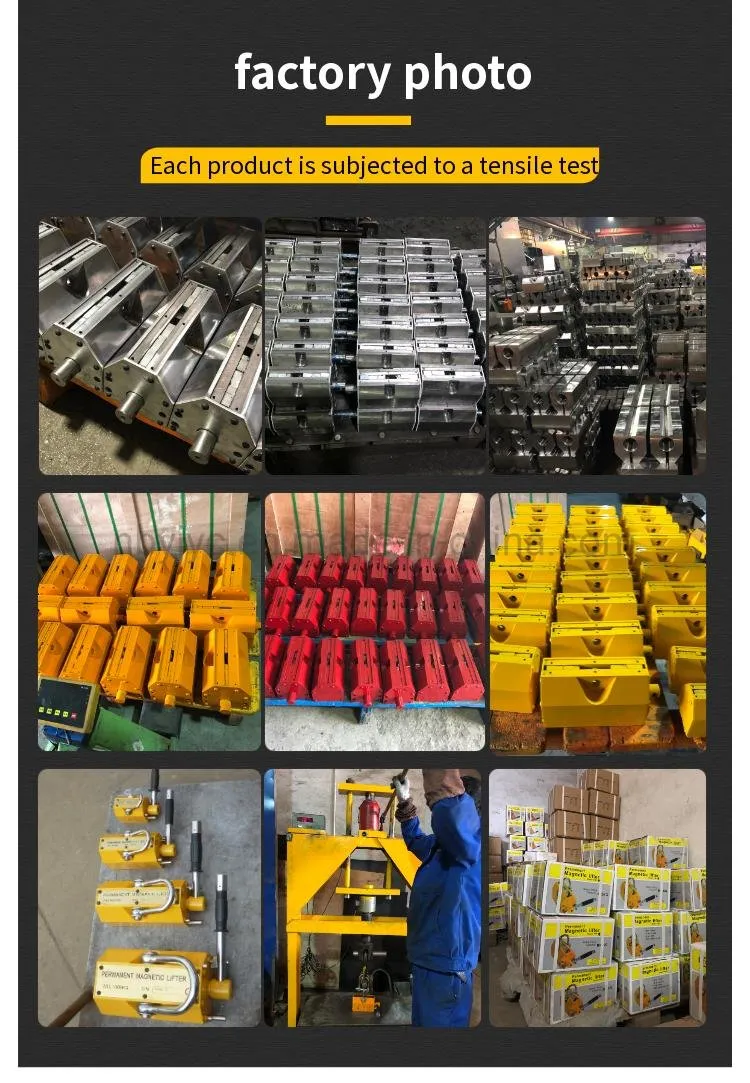 Permanent Magnetic Lifter