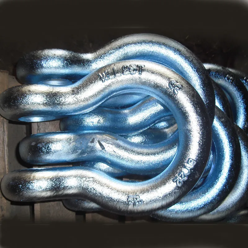 G209 Shackle Display