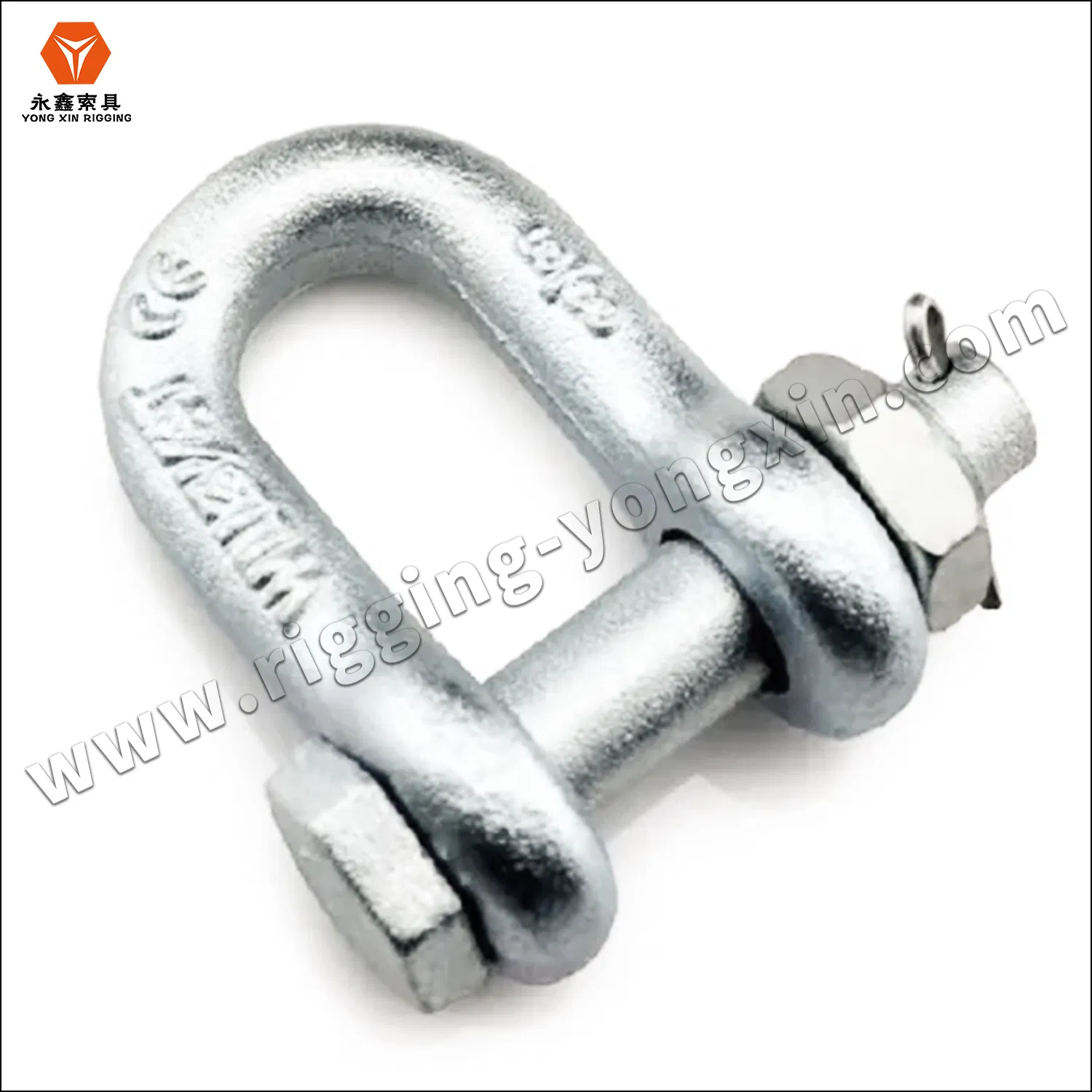 Shackle Bolt AISI 316 Stainless Steel Us Type Chain D Shackle with Safety Bolt Pin