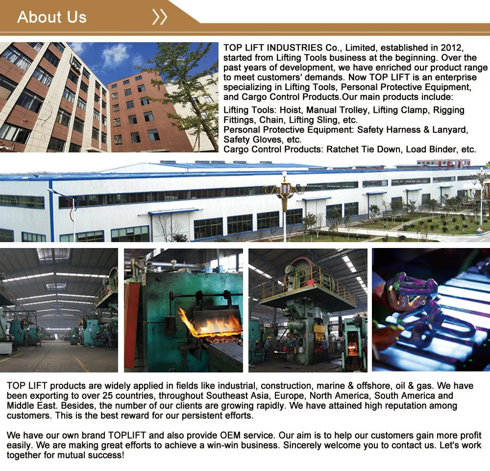 High Strength Bolt Type