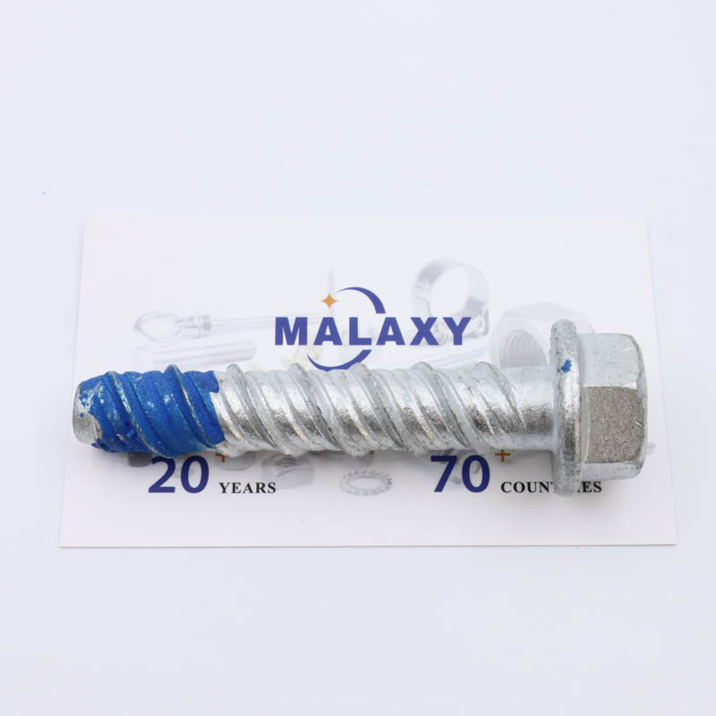 Malaxy Customized Fasteners Bolts and Nuts Hex Socket Bolt Carriage Bolt T Bolt Flange Bolt Eye Bolt Square Bolt U Bolt Anchor Bolt Stud Bolt Plow Bolt Structur