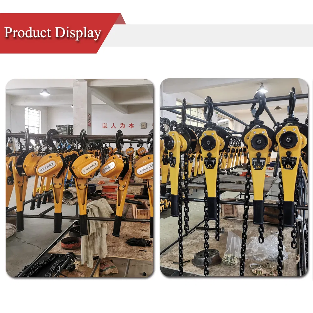 Lever Block Detail 2