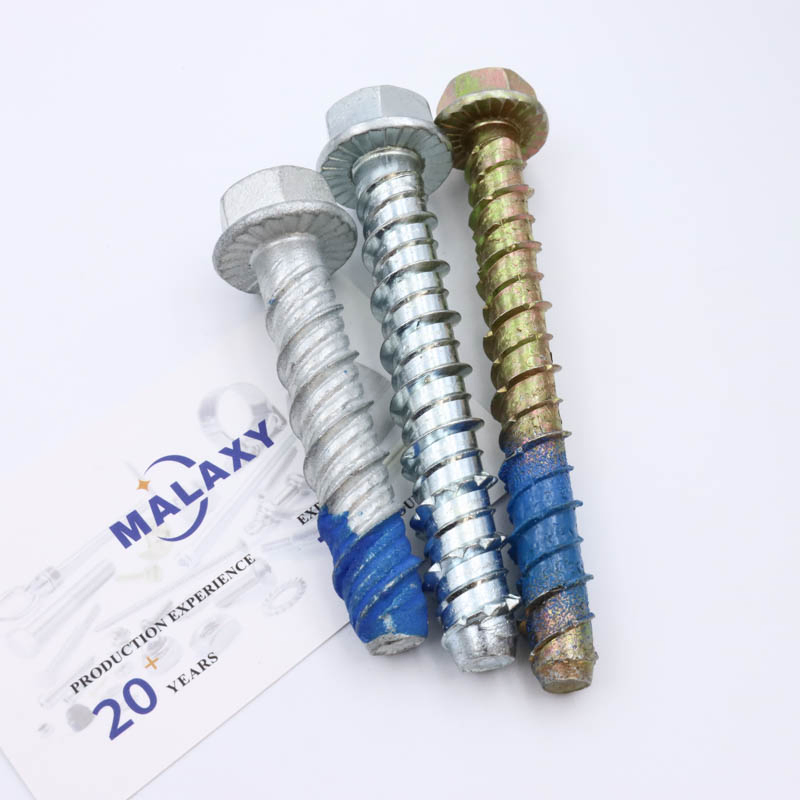 Malaxy Customized Fasteners Bolts and Nuts Hex Socket Bolt Carriage Bolt T Bolt Flange Bolt Eye Bolt Square Bolt U Bolt Anchor Bolt Stud Bolt Plow Bolt Structur