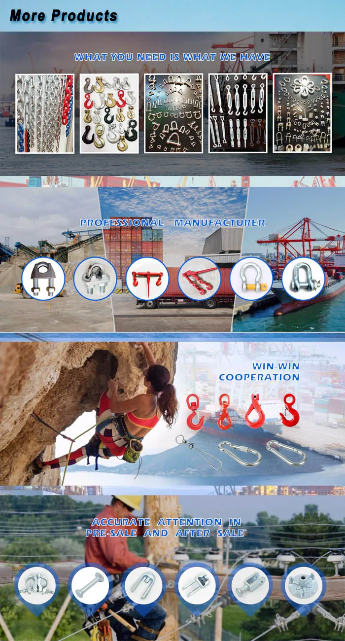 Product List Display