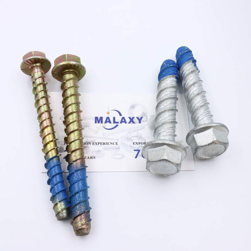 Malaxy Customized Fasteners Bolts and Nuts Hex Socket Bolt Carriage Bolt T Bolt Flange Bolt Eye Bolt Square Bolt U Bolt Anchor Bolt Stud Bolt Plow Bolt Structur