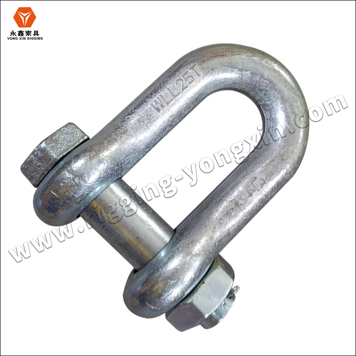 Shackle Bolt AISI 316 Stainless Steel Us Type Chain D Shackle with Safety Bolt Pin