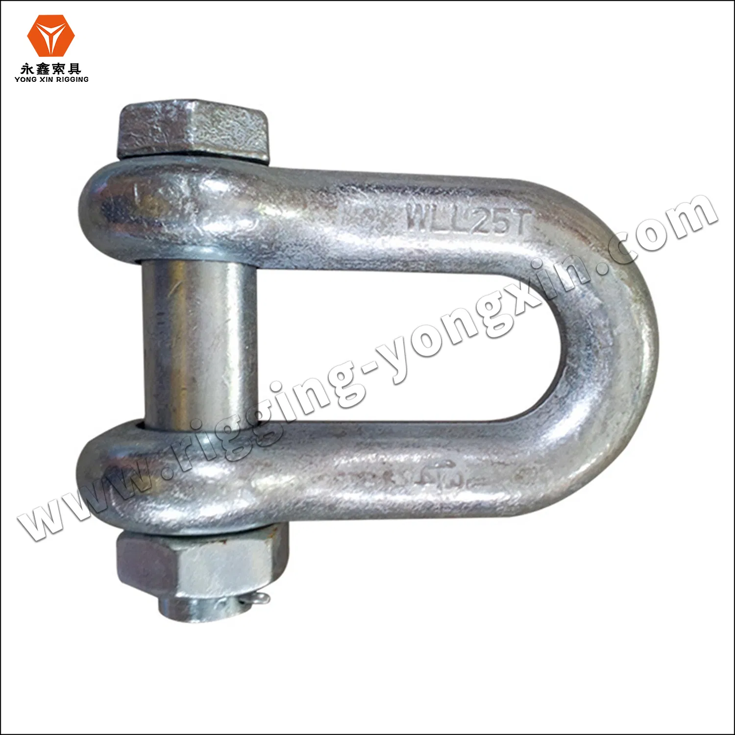 Shackle Bolt AISI 316 Stainless Steel Us Type Chain D Shackle with Safety Bolt Pin