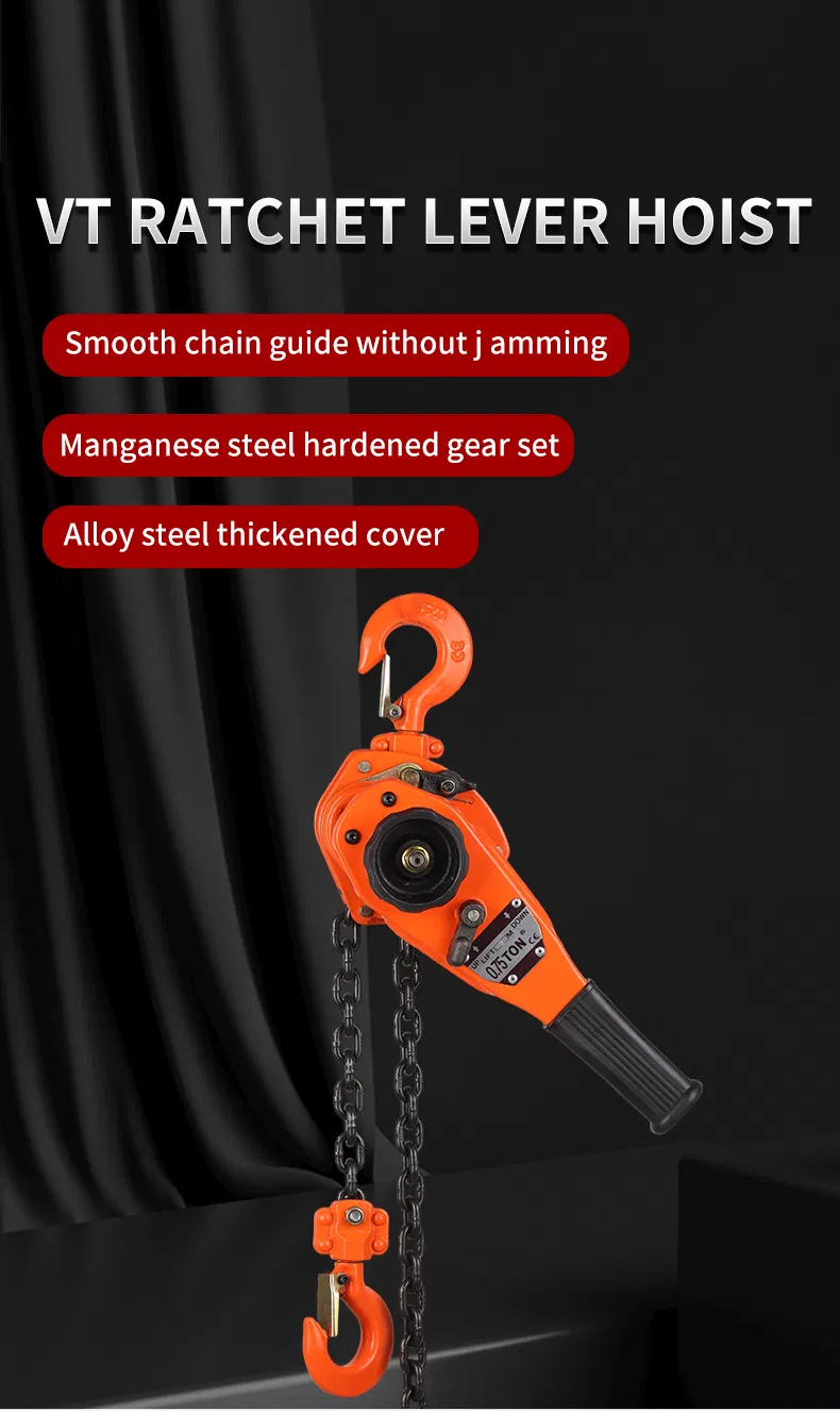 Lever Hoist Detail 1