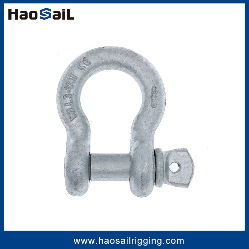 G209 Us Type Bow Shackle with Screw Pin