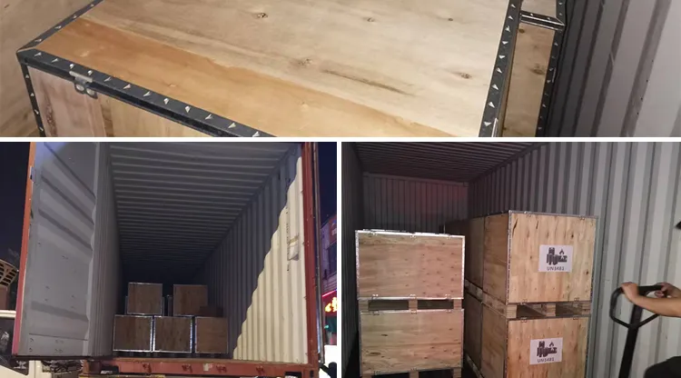 Electric Luggage Cart 12