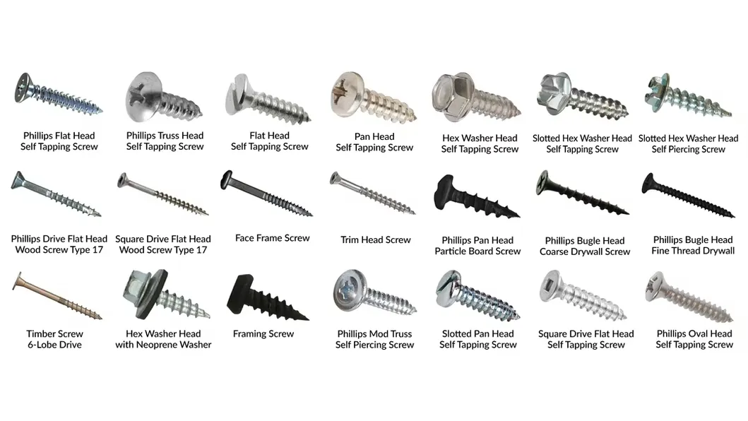 Detailed Screw Photo 5