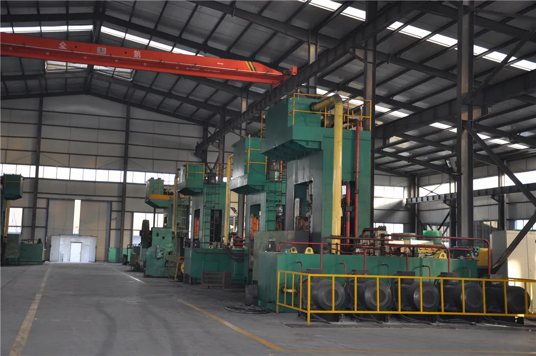 Heavy Duty Shackle 9