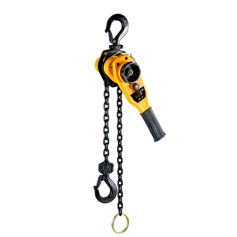 Hsh-Vt 1t 1.5m Height Ratchet Manual Lever Block Hoist