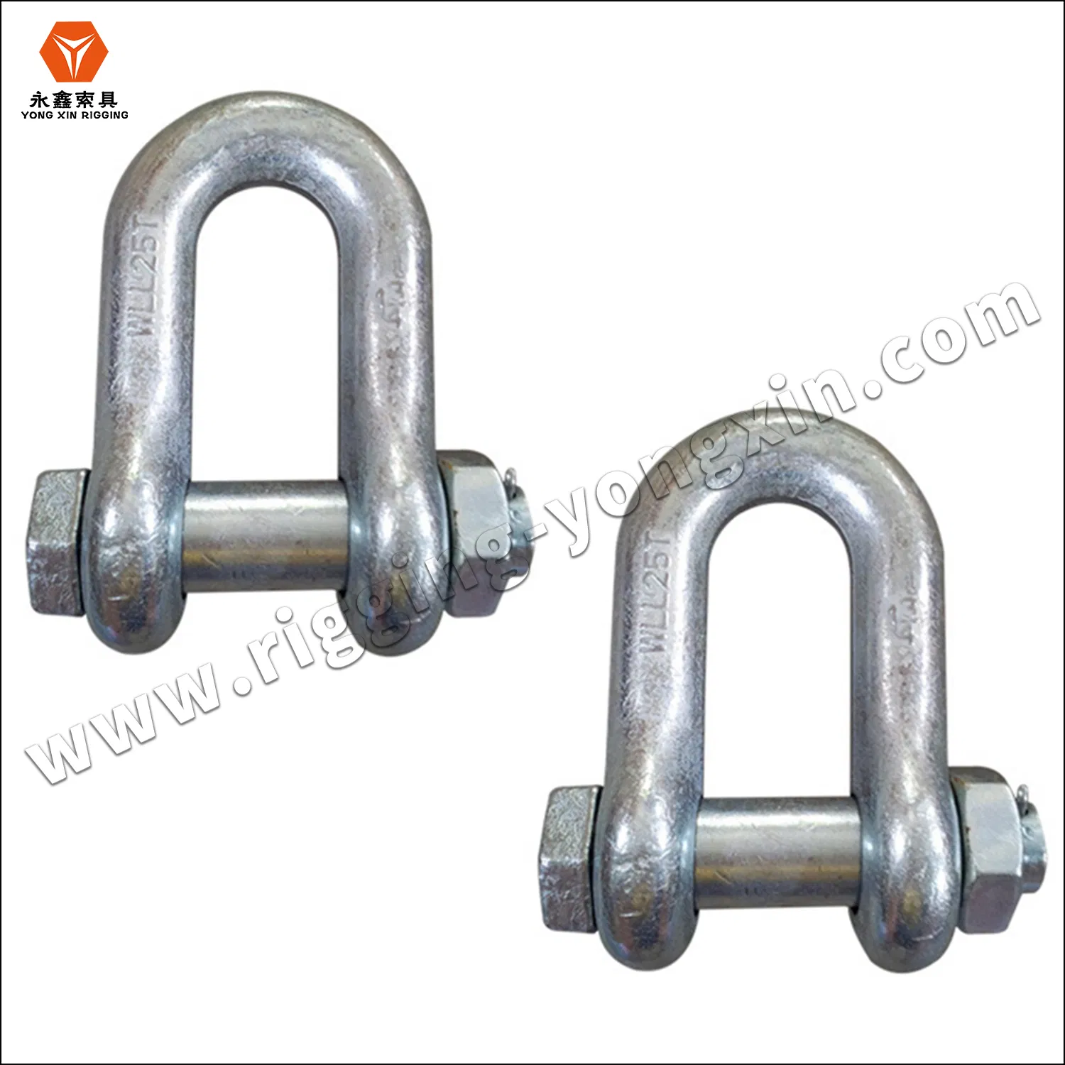 Shackle Bolt AISI 316 Stainless Steel Us Type Chain D Shackle with Safety Bolt Pin
