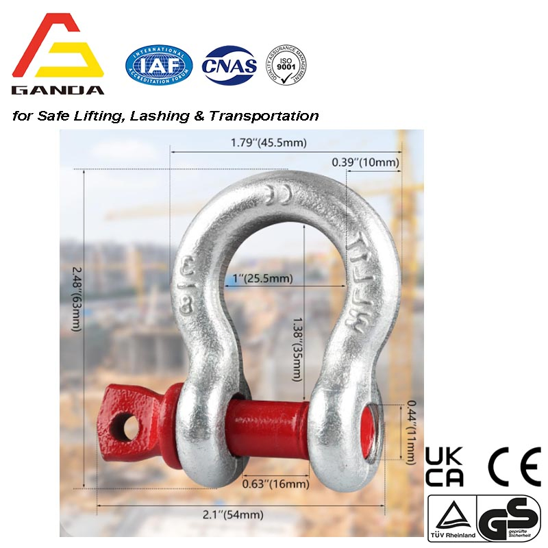 Heavy Duty Us Type L Achor Shackle Forged Marine Bow Shackle