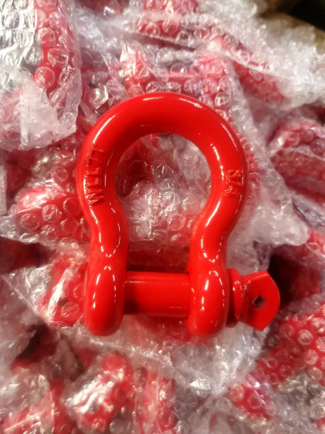 G209 Shackle Display