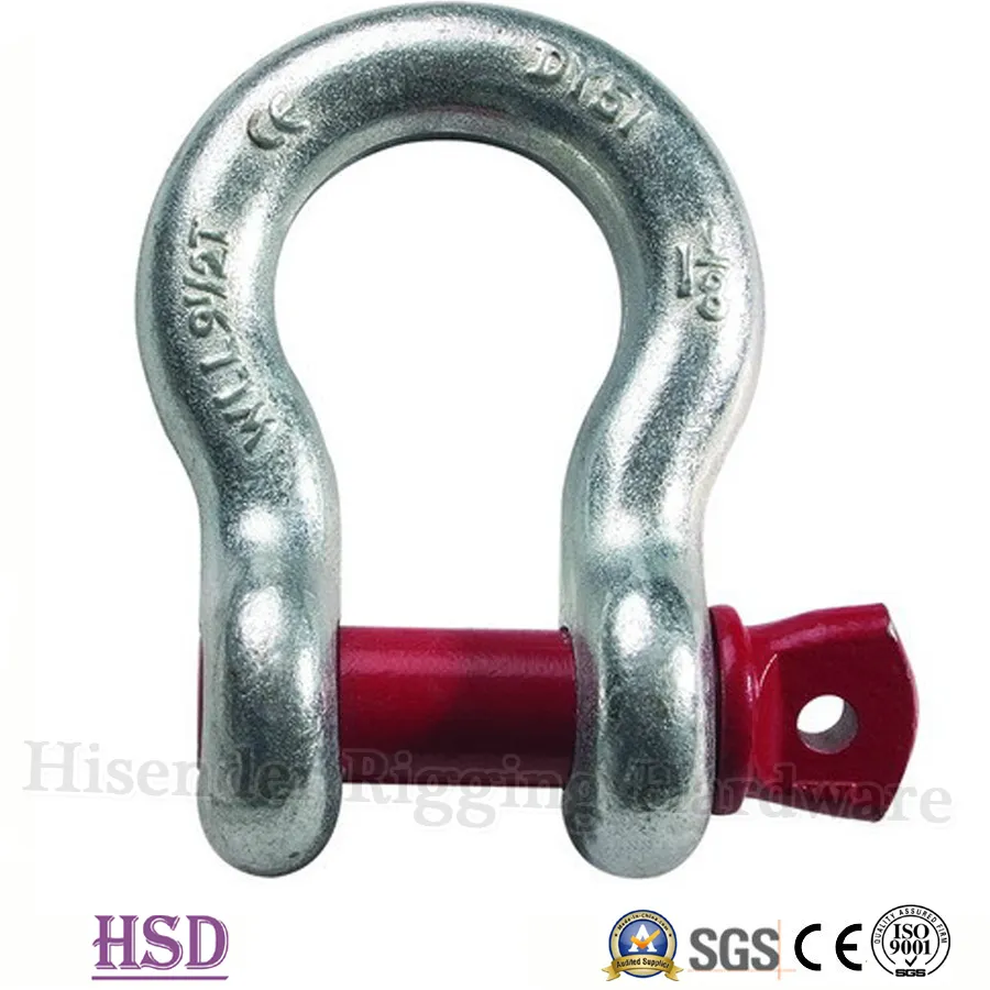 G209 Shackle Display