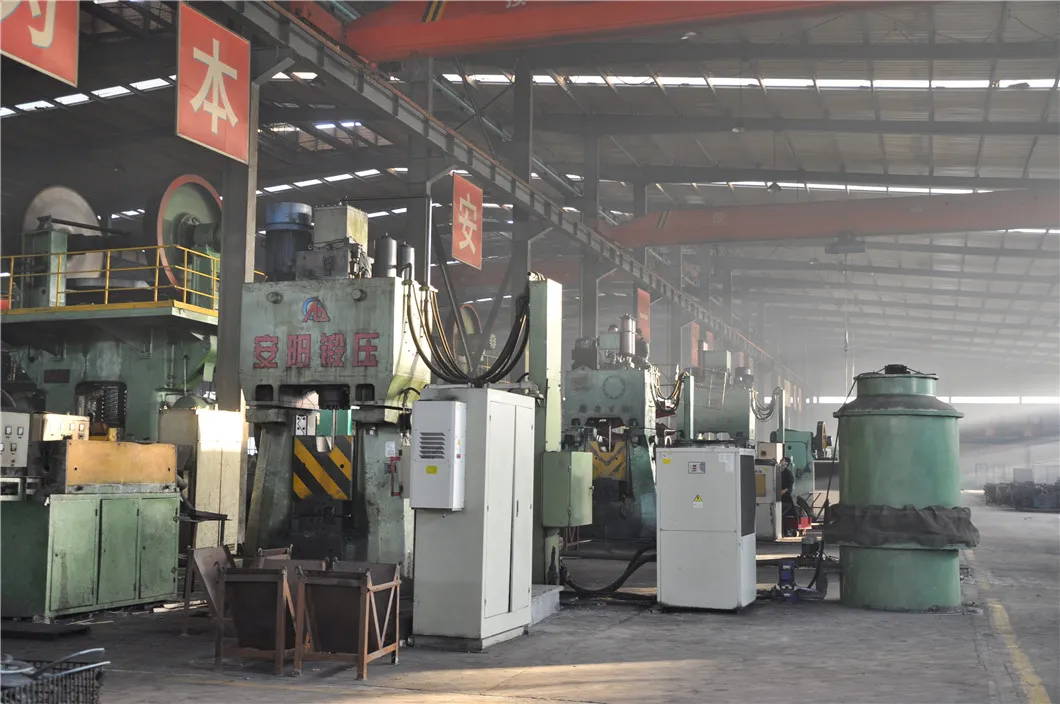 Heavy Duty Shackle 10