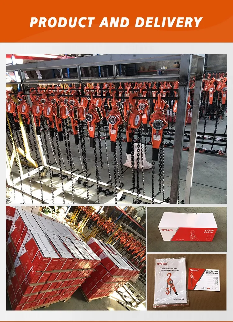 VAJ Type Lever Hoist Detail 6