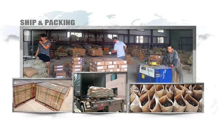 Packaging and Logistics