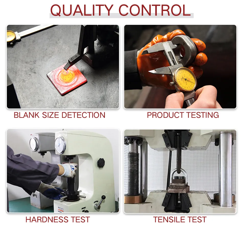 Marine Carbon Steel Forged