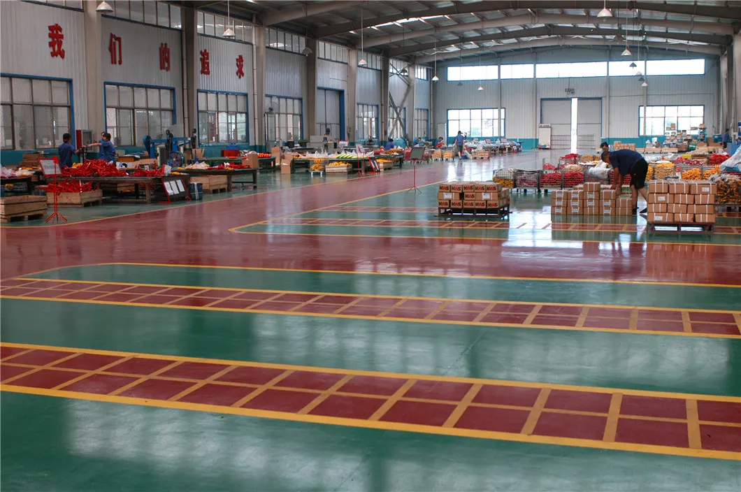 Heavy Duty Shackle 11