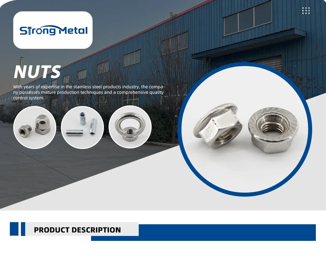 Lifting Anchor Eye Bolt