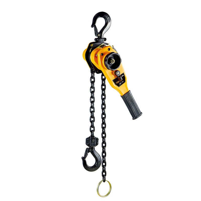 Hsh-Vt 1t 1.5m Height Ratchet Manual Lever Block Hoist
