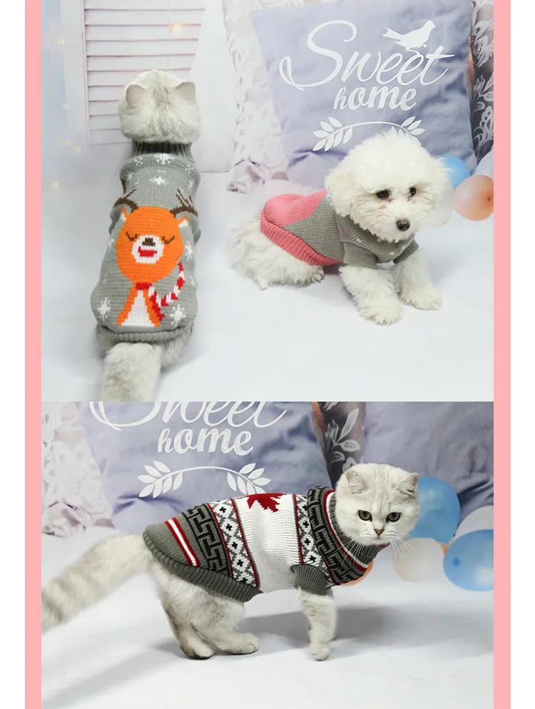 Mascota 6