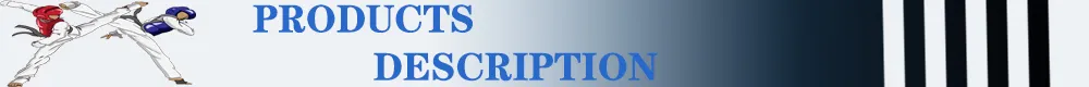 Banner Taekwondo
