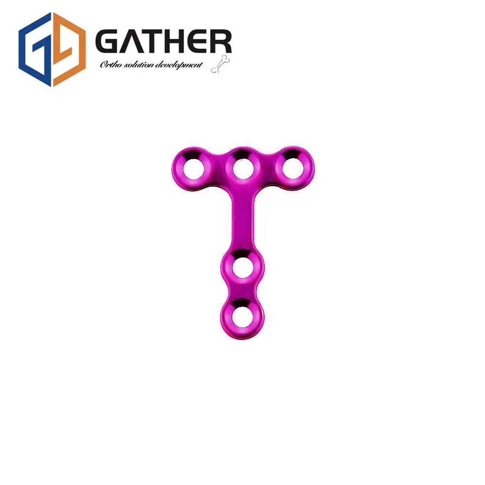 Maxillofacial Micro T-Plate Trauma Implant Series Orthopedic Plastic Cosmetic Surgery