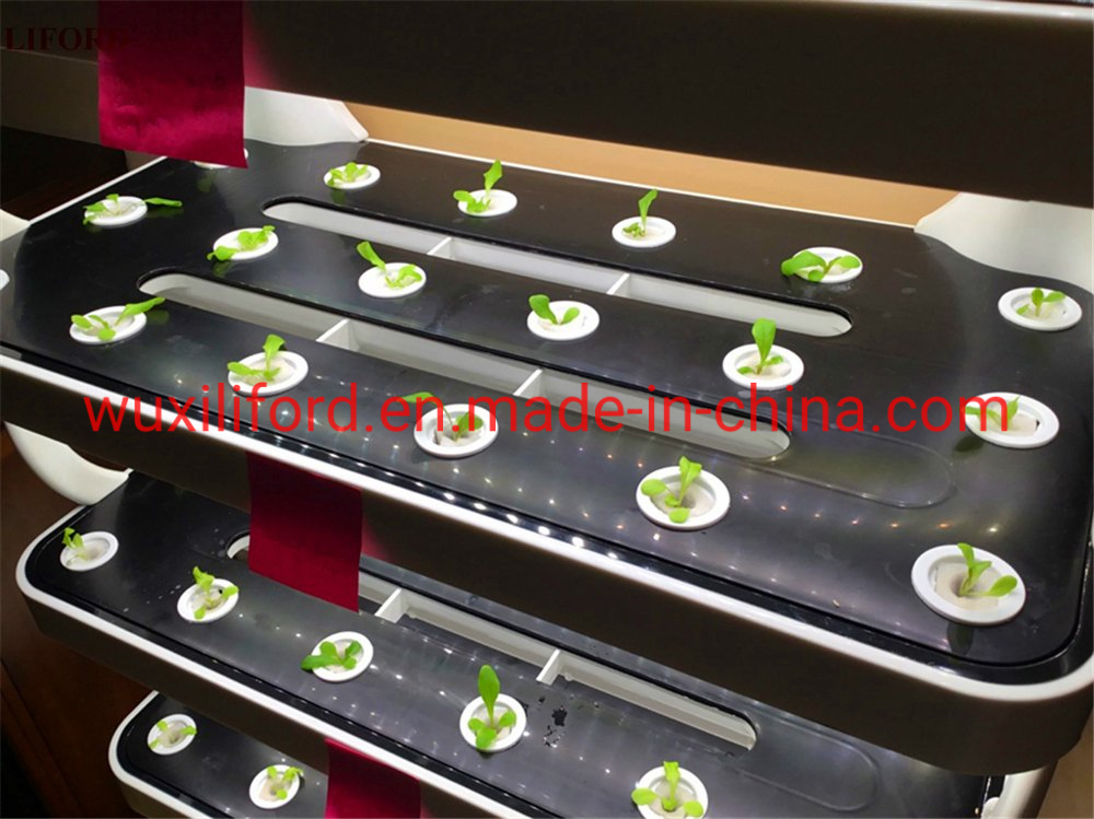 Smart Home Vegetable Plating Machine Indoor Hydroponics System