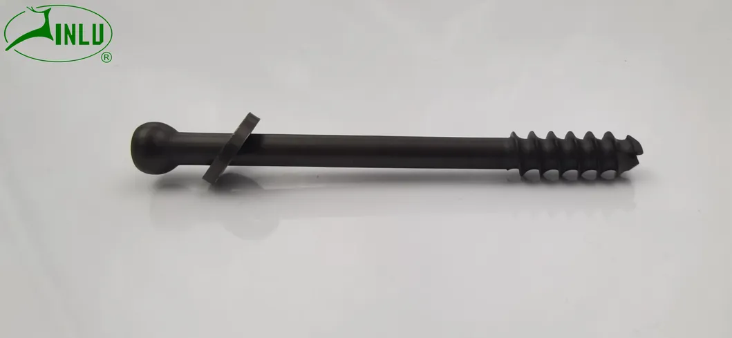 Orthopedic Implants Cannulated Compression Screws Details