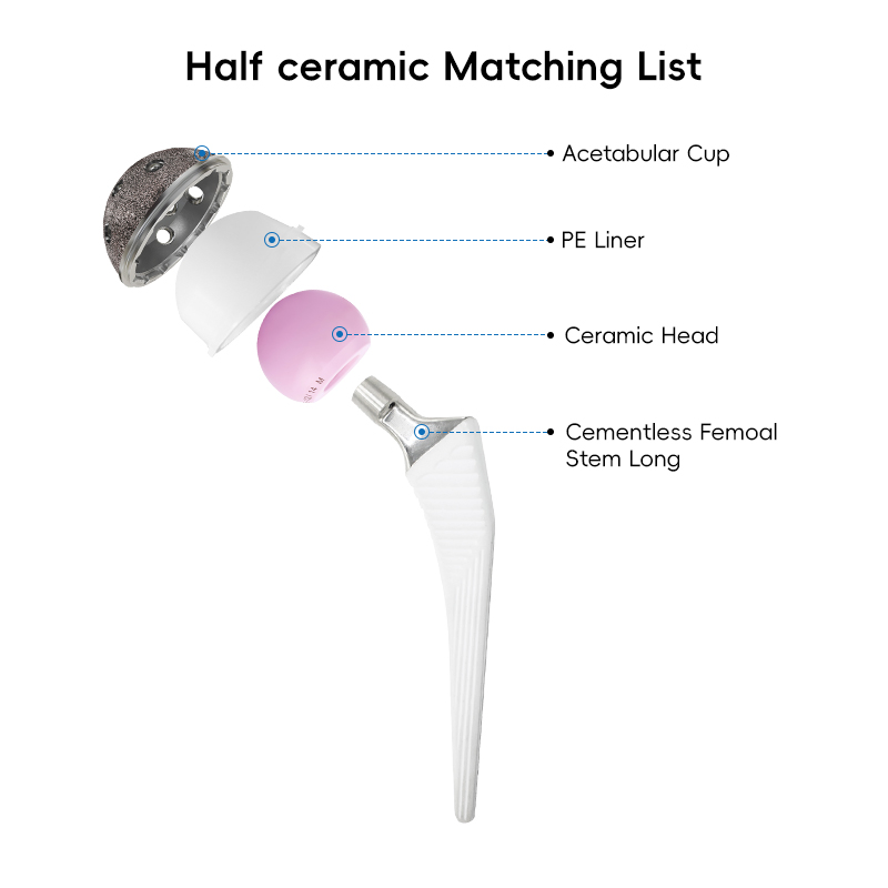 Orthopedic Prosthesis Implant Artificial Hip and Knee Joint Replacement