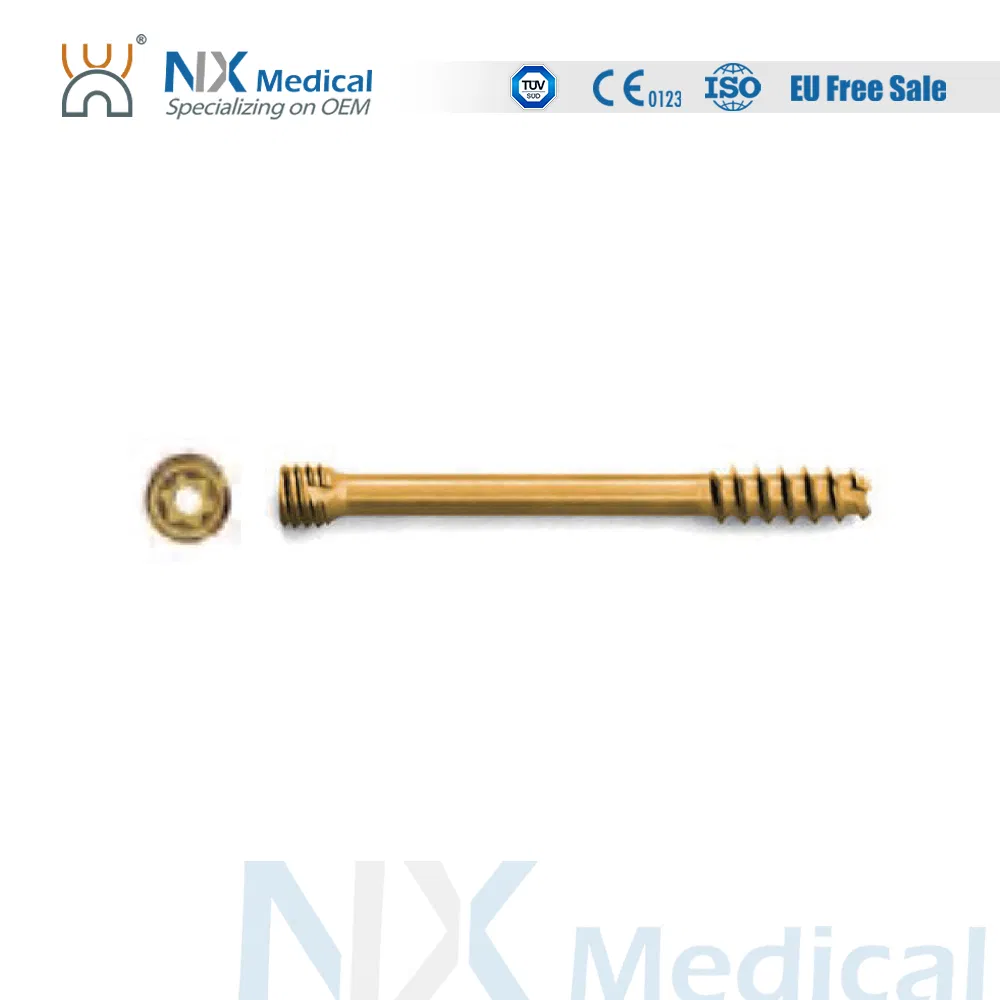 Nx Medical Orthopedic Implant Cannulated Headless Compression Screw Bone Fixation