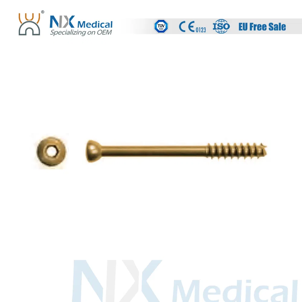 Nx Medical Orthopedic Trauma Implant Cannulated Screw for Bone Fixation