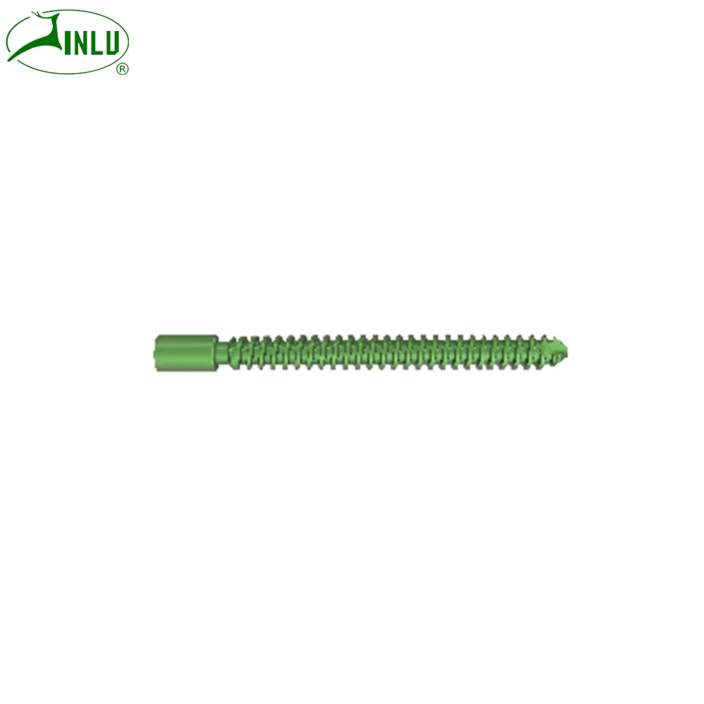 Hot Selling Orthopedic Implants Cannulated Compression Screws