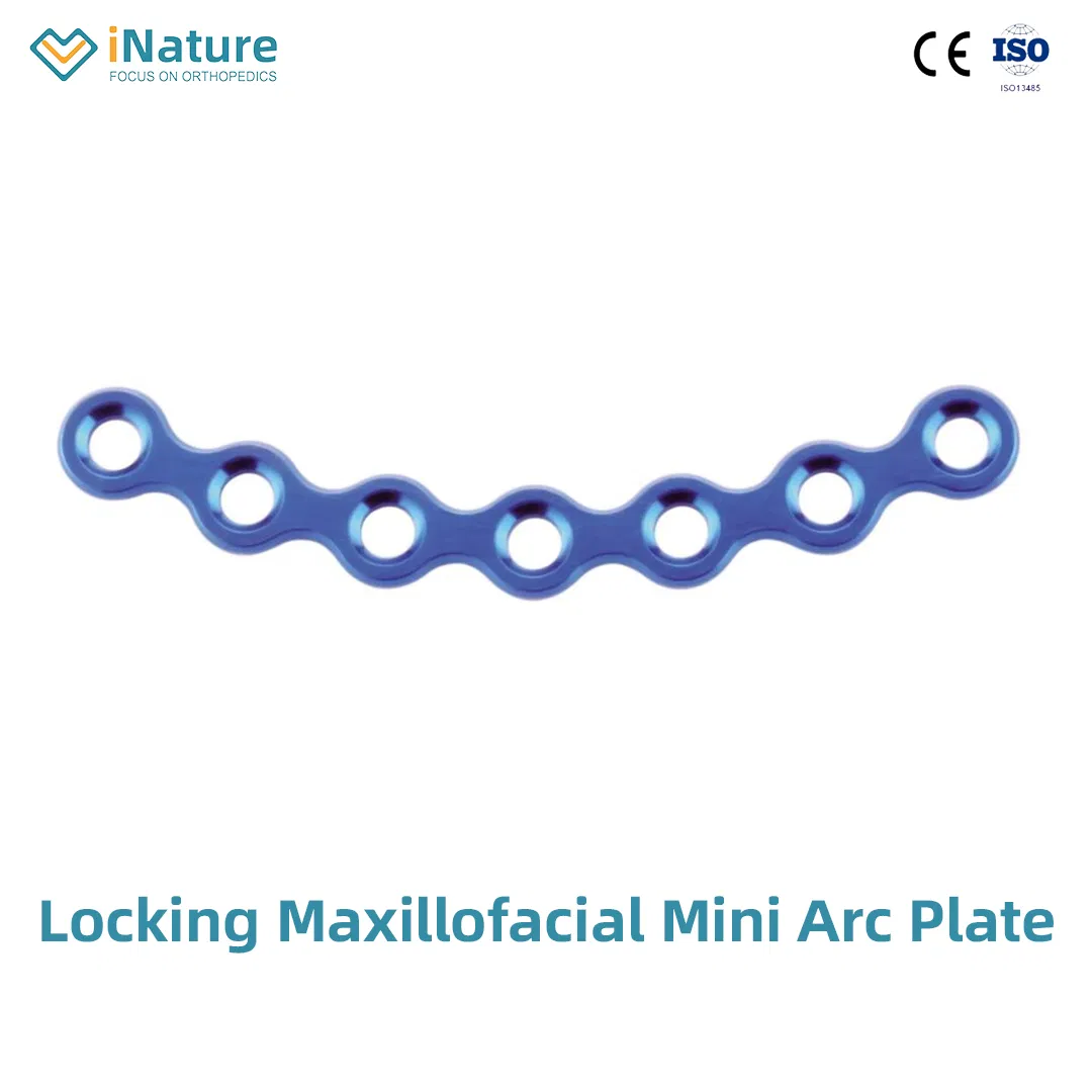 Orthopedic Maxillofacial Mini Straight Locking Plate Implant