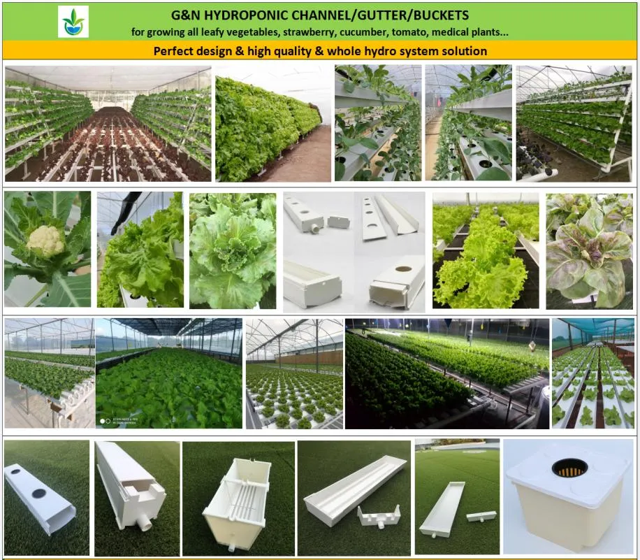 Related Hydroponic Products