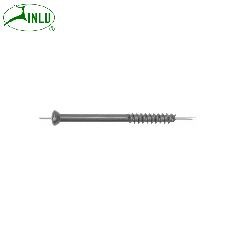 Hot Selling Orthopedic Implants Cannulated Compression Screws