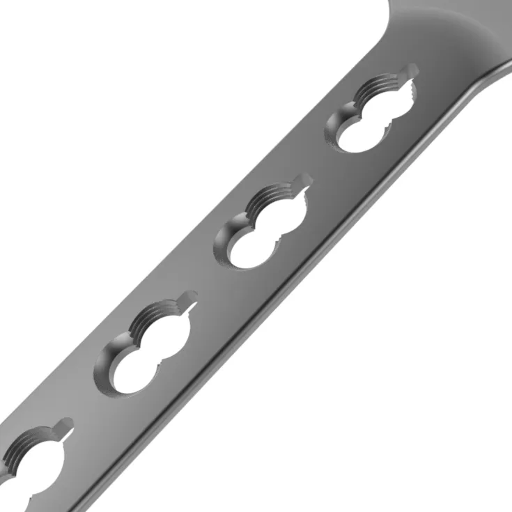 Titanium Implant Plate 6