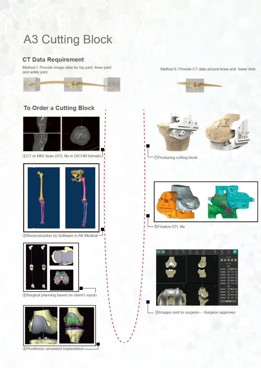 Hip Joint Component 2