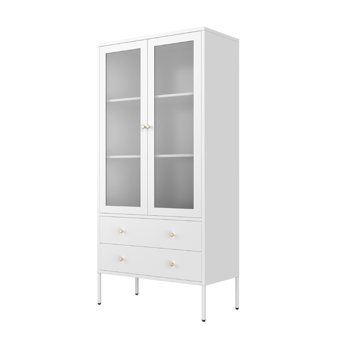 Space-saving Arched Glass Metal Bookcase with Solid Bottom Door for Small Apartments