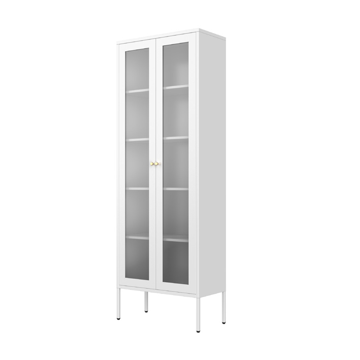 Space-saving Arched Glass Metal Bookcase with Solid Bottom Door for Small Apartments